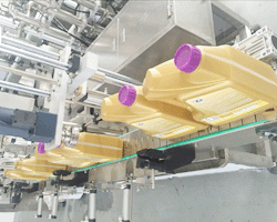 小型全自動潤滑油灌裝機(jī)